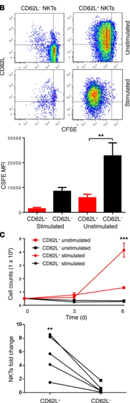 Figure 3. CD62L +  NKTs have superior survival and proliferative capacity upon  secondary stimulation