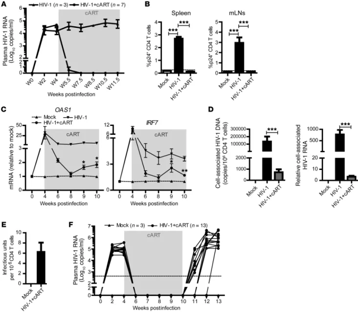 Figure 1. cART efficiently inhibits HIV-1 replication but fails to reverse inflammation and clear HIV-1 reservoirs in hu-mice