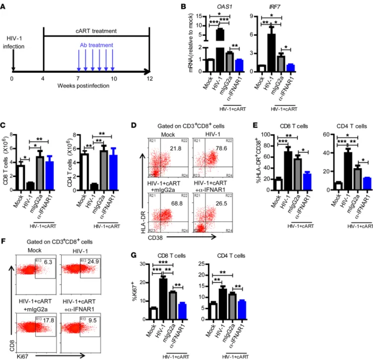 Figure 2. IFNAR blockade during cART-suppressed HIV-1 infection completely reverses aberrant immune activation