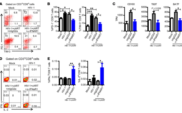 Figure 3. IFNAR blockade during cART-suppressed HIV-1 infection reverses the exhaustion phenotype of CD8 T cells and restores anti–HIV-1 T cell  function
