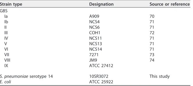 TABLE 1 Strains used in study