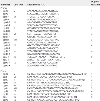 TABLE 2 Primer pairs and probes used in the singleplex and multiplex RT-PCR assays