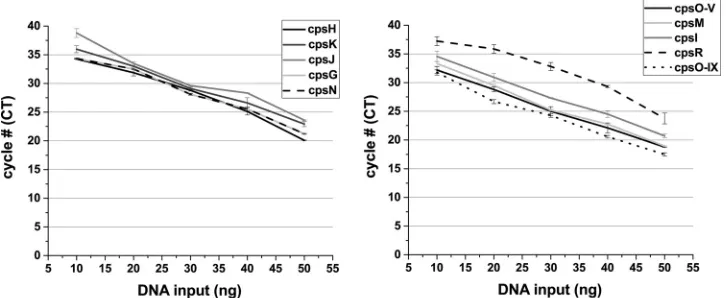 TABLE 4 Singleplex real-time PCR for GBS typinga
