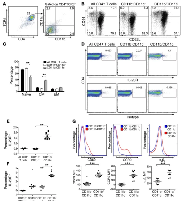 Figure 3. β 2  Integrin–expressing CD4 +  T cells have a biased central memory phenotype and increased expression of gut-homing molecules