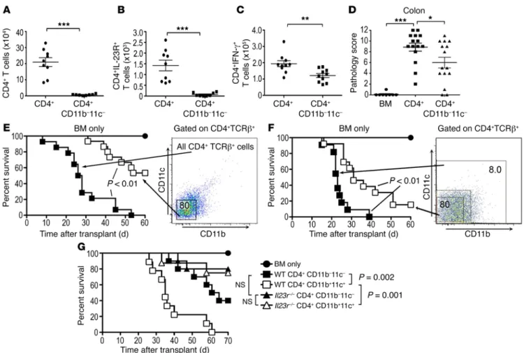 Figure 4. Pathogenicity of β 2  integrin–expressing CD4 +  T cells is dependent on the coexpression of the IL-23R