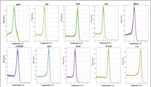 Figure 3 Expression levels of candidate reference genes in different plant samples.box is depicted as the median