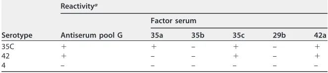 TABLE 1 Accepted reactivities of serotypes 35C, 42, and 4 with antisera and antigenicformulae of these serotypes