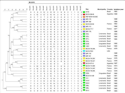 Figure 1 Cluster analysis by MLVA16 genotyping of 14 Brucella ovis isolates from sheep of Rio Grande do Sul State, Brazil, 1982 – 1995plus all 19 MLVA16 genotypes of B