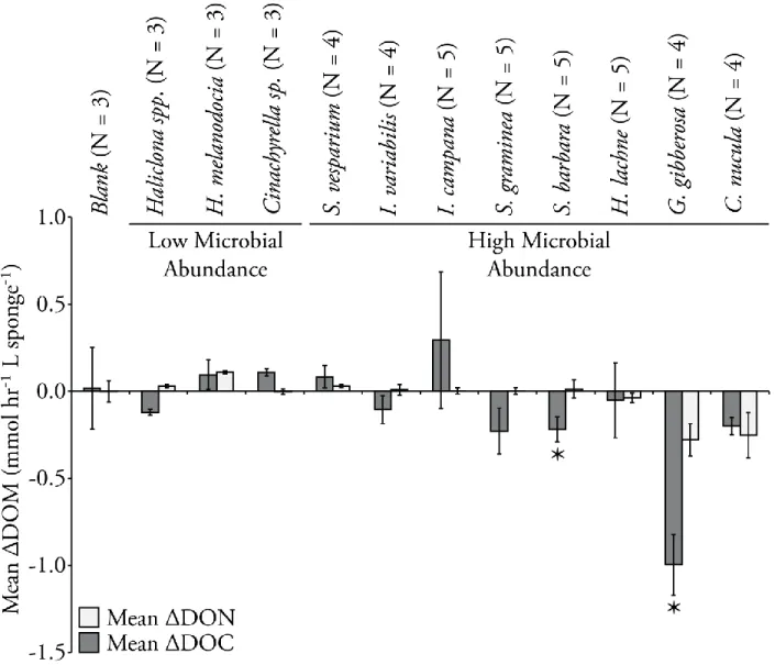 Figure 4.5 :  Mean volume-normalized rates of DOC and DON production or consumption for the  11 tested species in Florida Bay