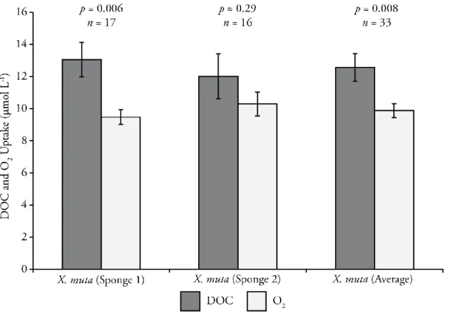 Figure 2.3: Average uptake of O 2  and DOC for the two tested sponges and the overall average