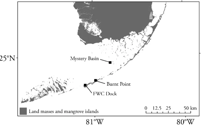 Figure 4.1: Map of Florida Bay.  Squares indicate locations where chamber experiments were  performed