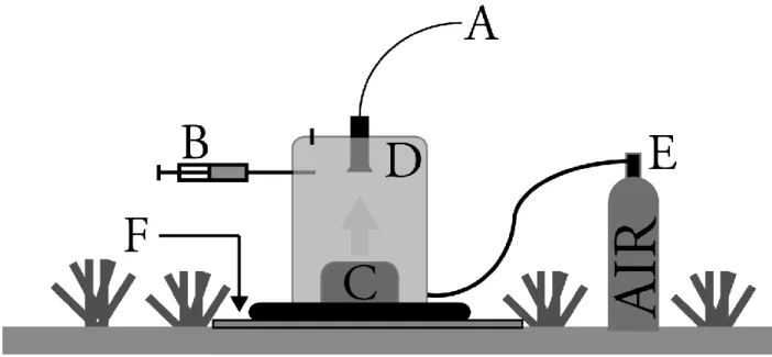 Figure 4.2: Schematic representation of the benthic chamber utilized for determining sponge  DIN production in situ