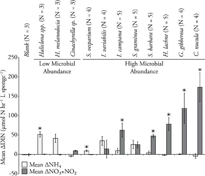 Figure 4.4 :  Mean volume-normalized rates of DIN production for the 11 tested species in Florida  Bay