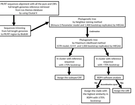 FIG 3 Flow chart of Mphy. Shown are the main steps of HIV molecular phylogeny (Mphy) used for subtype assignment.