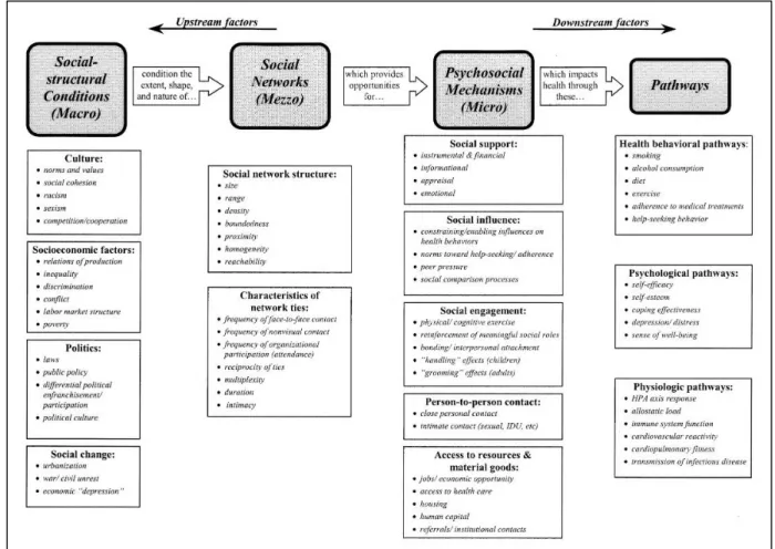 Figure 2. Berkman et al., 2000 