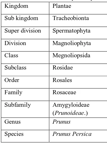 Table IV Taxonomic classification of prunus persica 