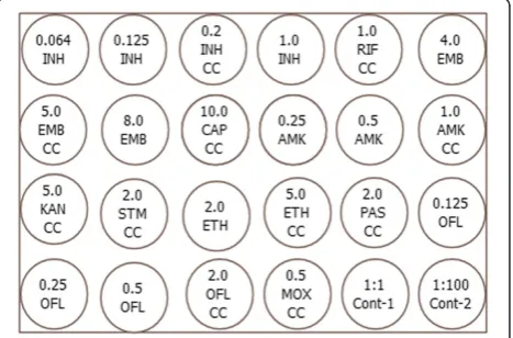 Figure 1 Outline of the template used for drug concentrationsand controls used in the 24-well plate