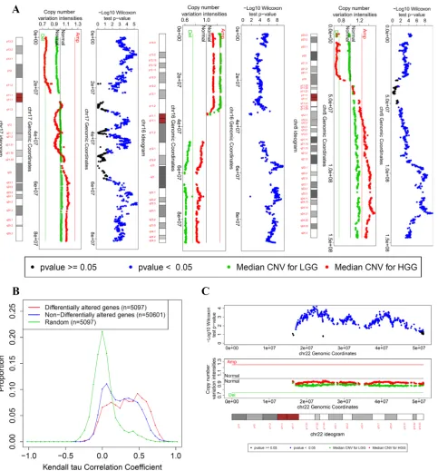 Figure 4: Copy number variation visualization of few chromosomes in which the differentially altered genes between LGG and HGG are enriched