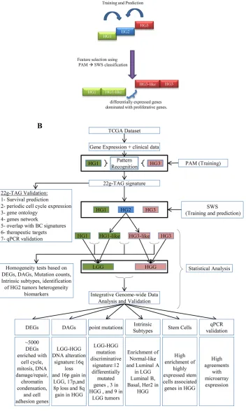 Figure 1: Schematic overview of the gene expression-based sub-classification of histological grade 2 (HG2) samples into HG1-like and HG3-like