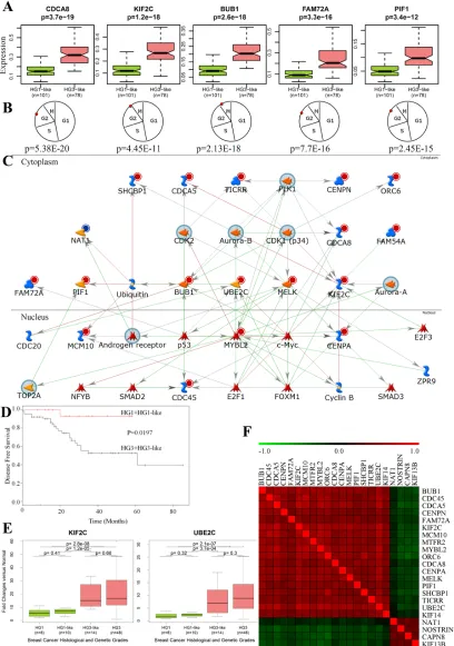 Figure 2: Functional and network analyses of 22g-TAG signature. A. The differences in gene expression profiles between HG1-like and HG3-like samples for 5 genes from 22g-TAG signature