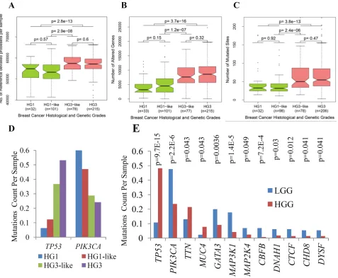 Figure 3: Major genomic and transcriptomic variations between subclasses of IDC determined by 22g-TAG classifier
