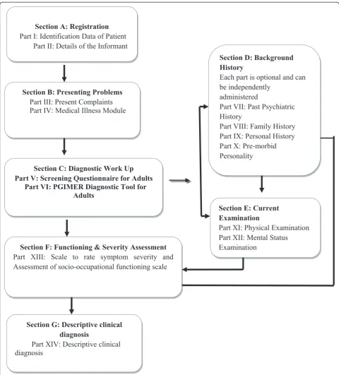 Figure 1 Flow of the diagnostic tool. The diagnostic exercise follows a stepwise approach to reach the final descriptive clinical diagnosis.First, the identification details, socio-demographic profile, presenting complaints and precipitating events are eli