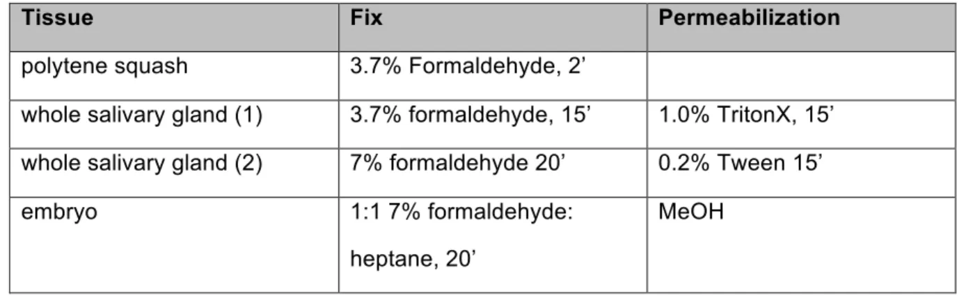 Table 2.4. Antibody Concentrations  Primary 