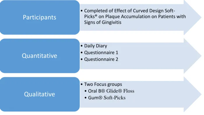 FIGURE 4. Summary of Study Organization 
