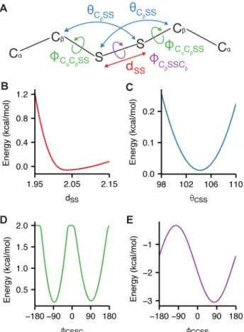 Figure 4: Orientation-dependent disulfide bonding model 