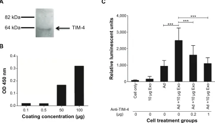 Figure 3 exosome-mediated Ad5 entry was blocked by interfering with tIM-4 interactions.Notes: (A) Western blot analysis and (B) eLISA were carried out to demonstrate the presence of tIM-4 on exosomes