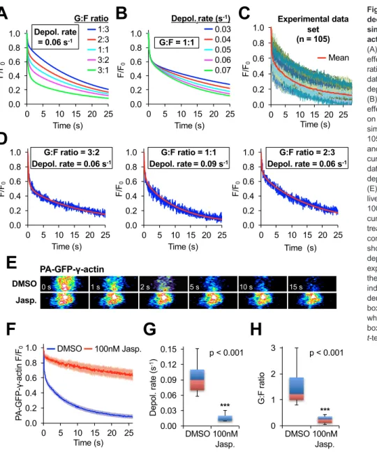 Fig. 2. MAAP of PA-GFP –actin fluorescence decay curves allows for accurate,