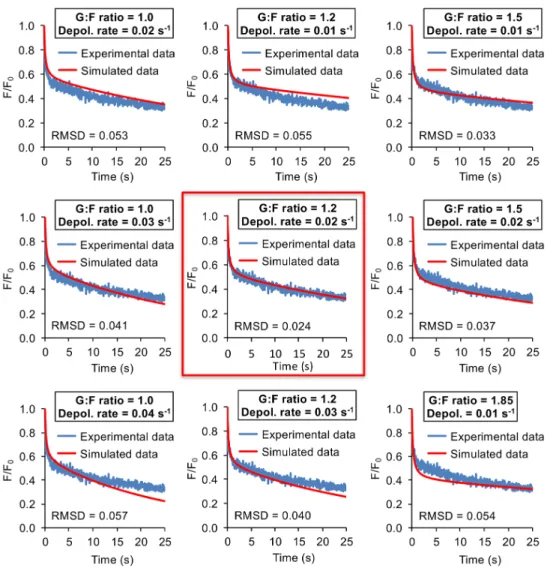 Fig. 3. Accuracy of MAAP fitting of experimental data. Line graphs showing the nine closest MAAP fits to a single experiment