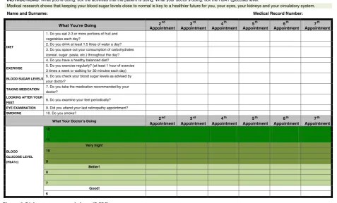 Figure 2 Diabetes care record sheet (DCRS).