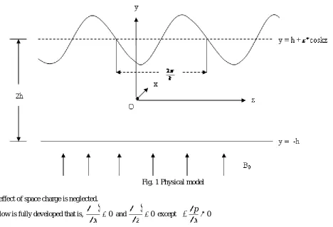 Fig. 1 Physical model 