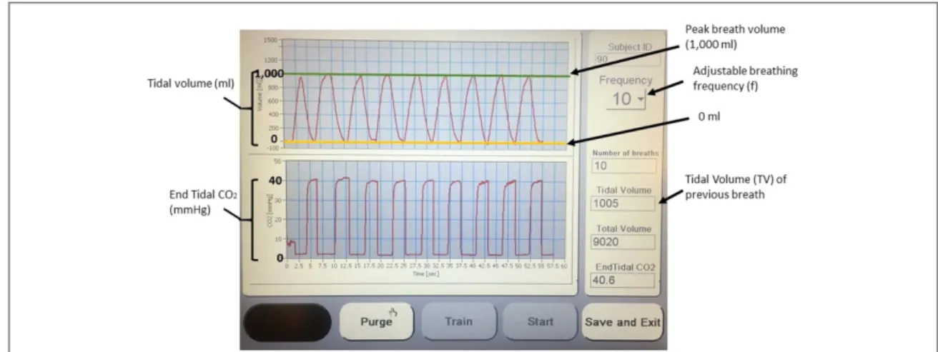 Figure 1. Loccioni instrument interactive screen. The interactive screen guides the subject ’s breathing pattern with instantaneous tidal volume measurements and an auditory metronome