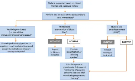 FIG 1 Malaria laboratory testing algorithm.and 1Algorithm includes only commonly used/available laboratory methods