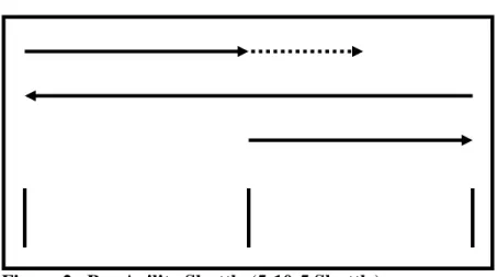 Figure 2. Pro Agility Shuttle (5-10-5 Shuttle).