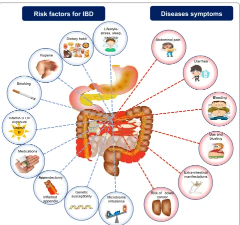 Fig. 1 The multifaceted triggering factors for IBD and major disease symptoms. IBD develops at the intersection of host genetic predisposition, environmental influences, immune dysregulation and dysbiosis of the gut microbiota (left side)