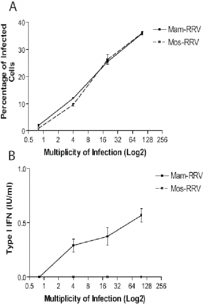 Figure 2.5.  Mammalian-cell derived RRV (mam-RRV) induces more type I IFN  than mosquito-cell derived RRV (mos-RRV) in 129 αβ receptor deficient mDC’s
