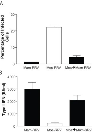 Figure 2.6. A single passage of mosquito-cell derived virus (Mos-RRV) through  mammalian-cells (generating Mam-RRV) restores type I IFN induction in myeloid  dendritic cells (mDCs)