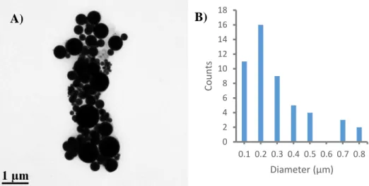 Figure 2.10 – TEM Images of Bi 2 O 3  nanoparticles (290 ± 190 nm); panel A scale bar is 1 µm