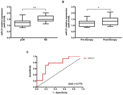 Figure 2: Effect of miR-21 inhibition on the sensitivity of SKBR3 breast cancer cells to trastuzumab and chemotherapeutic agents