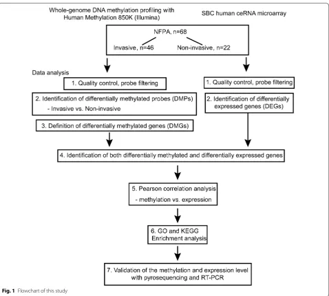 Fig. 1 Flowchart of this study