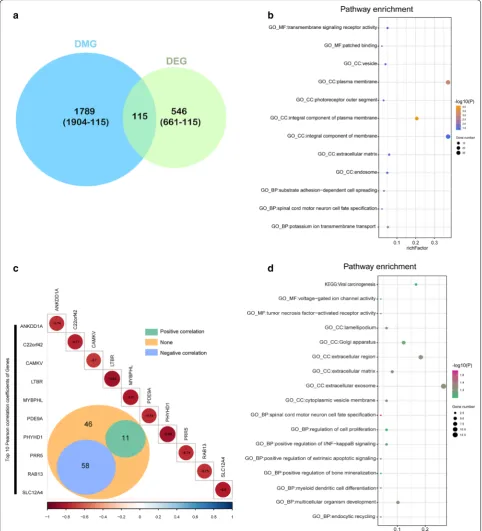 Fig. 4 Integrated analysis of DMGs and DEGs. a The Venn diagram shows 115 genes with both DNA methylation and expression level changes