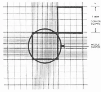 Figure 2(a) -  Cell counting using a haemocytometer
