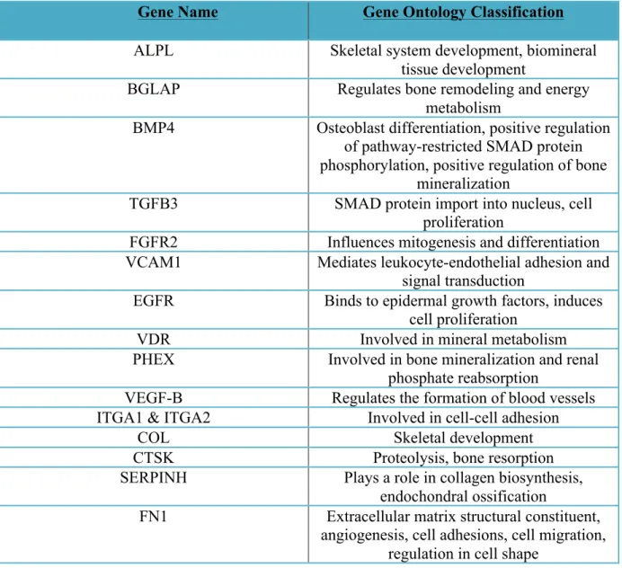 Table	1.1:	Molecular	assessment	of	osseointegration.	Adapted	from	Thalji	&amp;	Cooper	2013(22)