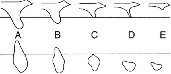 Figure	1.6:		Classification	of	bone	quality	and	jaw	shape.	Reproduced	with	permission.	(105)