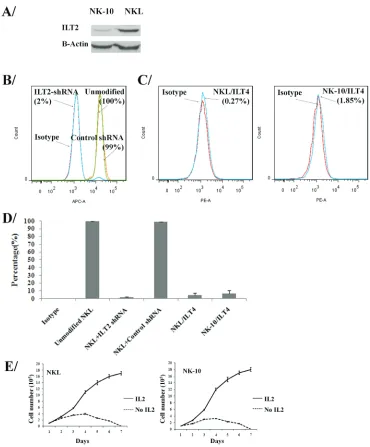 Figure 2: nK cells can be engineered to silence Ilt2. ILT2representative experiment out of four independent experiments performed