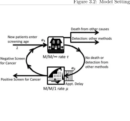Figure 3.2: Model Setting