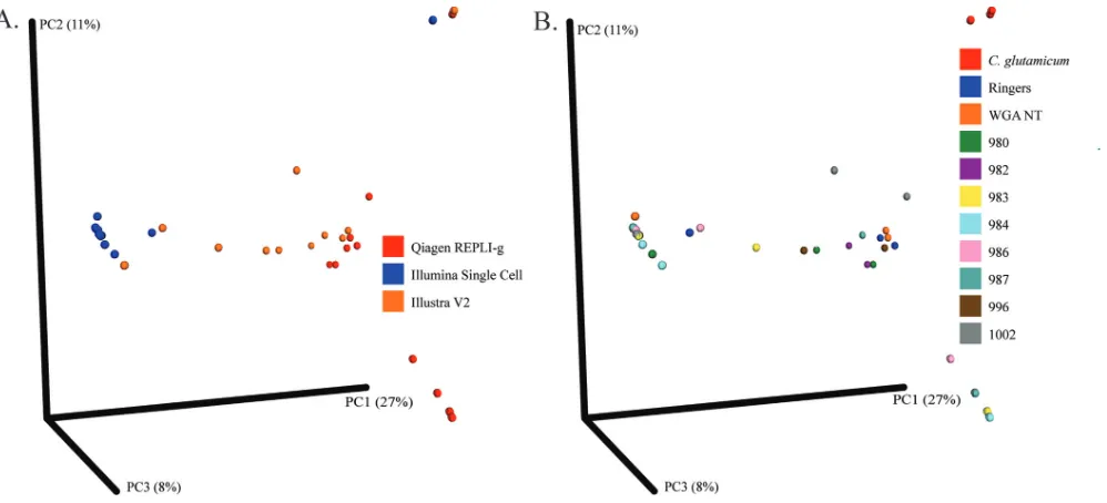 FIG 1 Beta diversity of samples by sample source versus WGA kit. The beta diversity of the gene content of the samples was determined using QIIME andplotted on a principal coordinate analysis plot